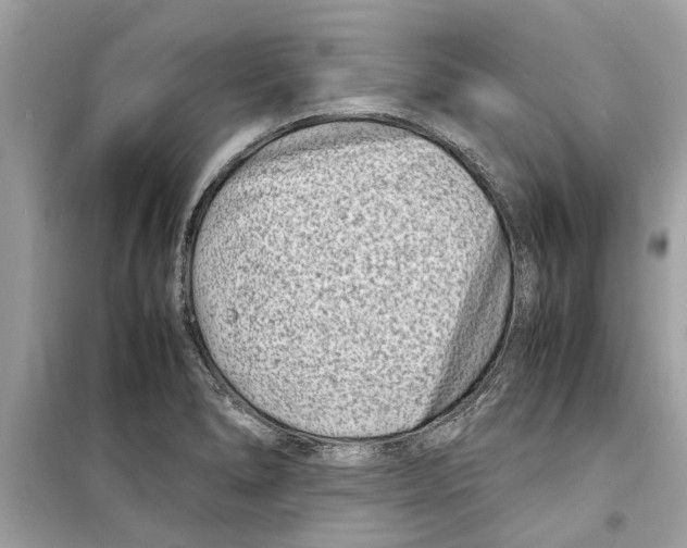 X0000098221278200805221640