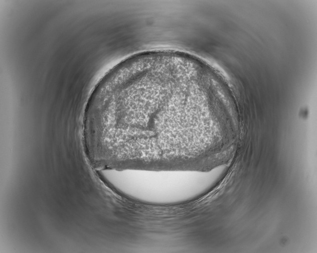 X0000098221279200805221640