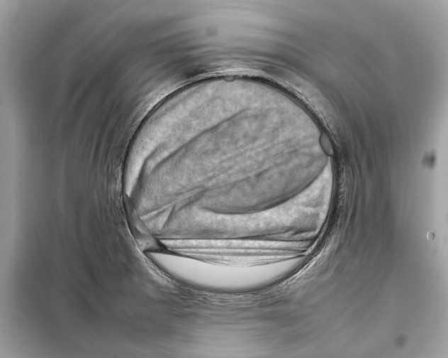 X0000098221281200805221640