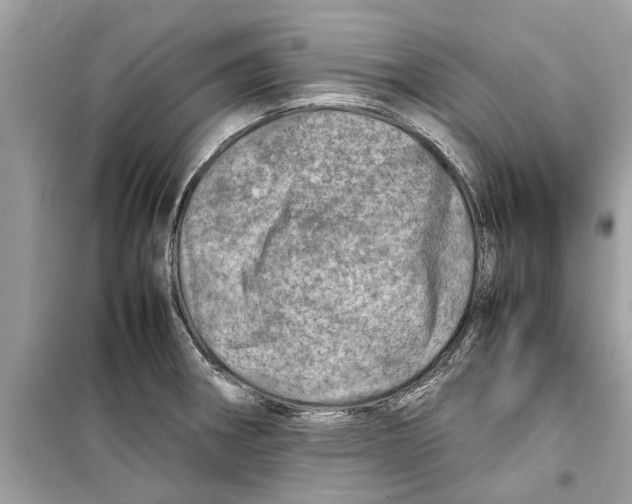 X0000098221282200805221640