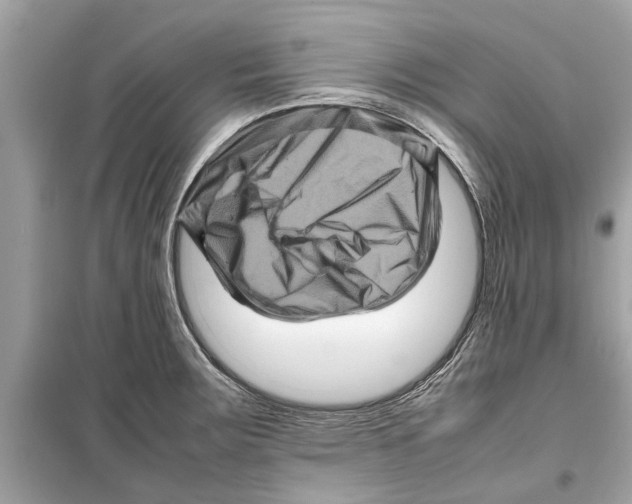 X0000098221283200805221640