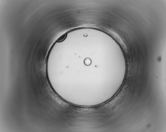 X0000098221284200805221640