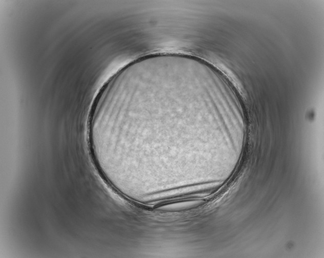 X0000098221285200805221640