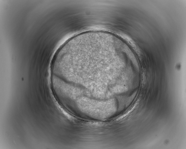 X0000098221286200805221640