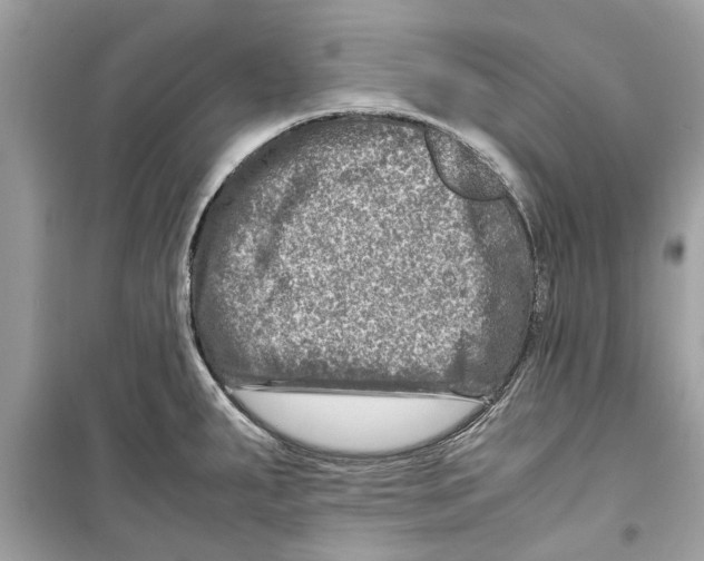 X0000098221287200805221640