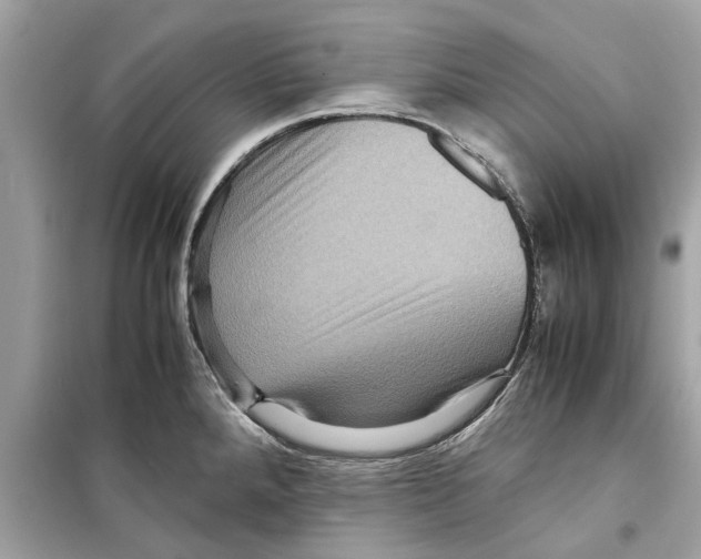 X0000098221288200805221640