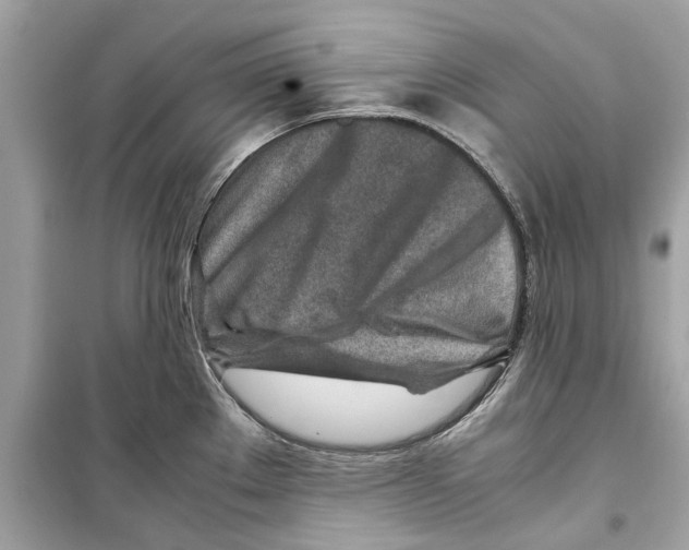 X0000098221289200805221640