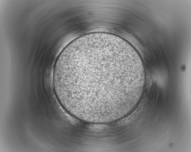 X0000098221290200805221640