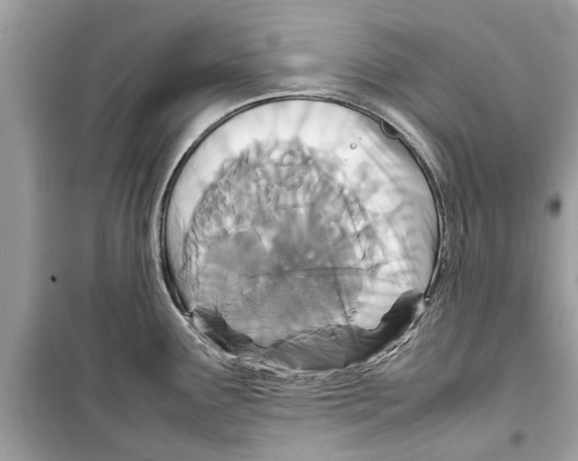 X0000098221291200805221640