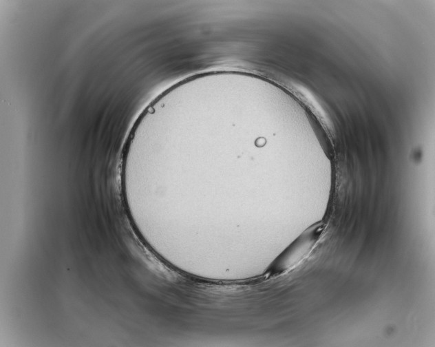 X0000098221292200805221640