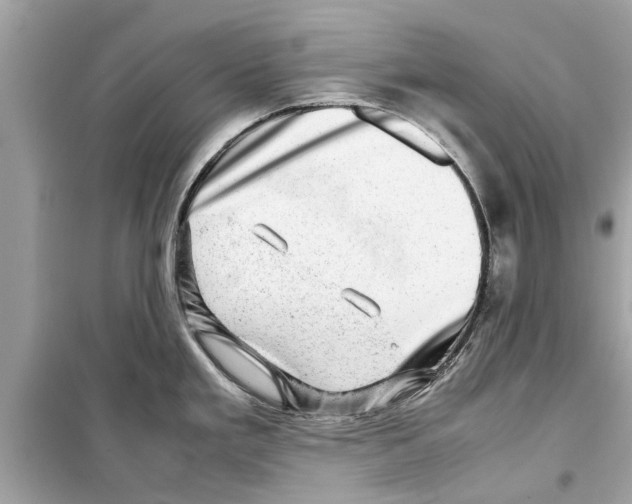 X0000098221293200805221640