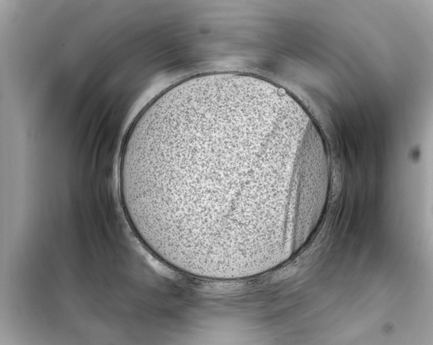 X0000098221294200805221640