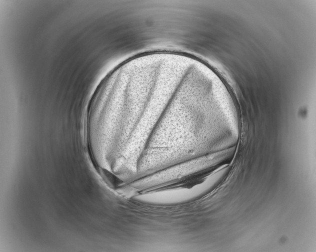 X0000098221295200805221640