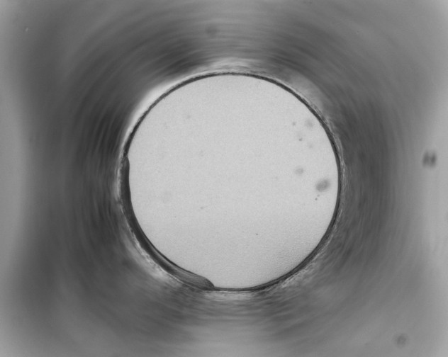 X0000098221296200805221640