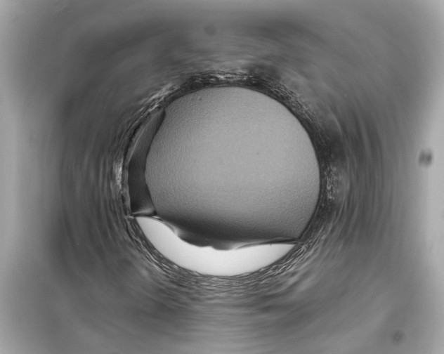 X0000098221298200805221639