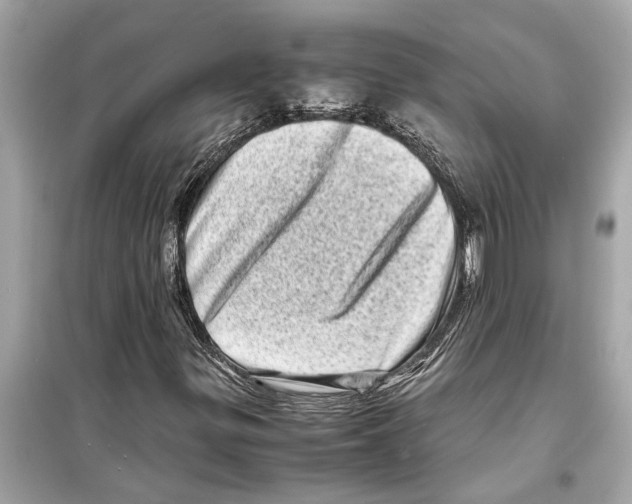 X0000098221299200805221640