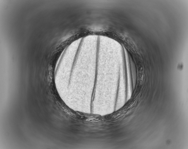 X0000098221301200805221640