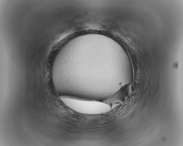 X0000098221303200805221640