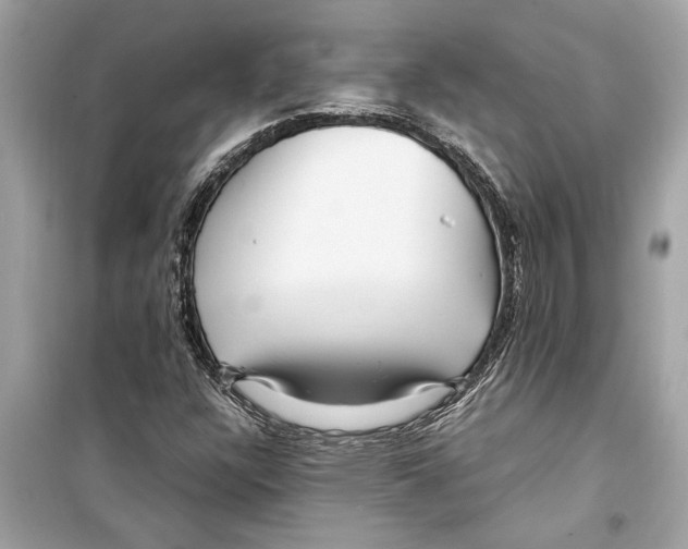 X0000098221304200805221640