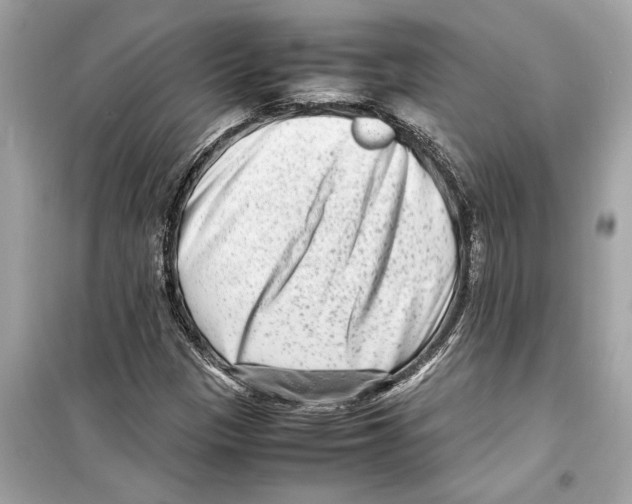 X0000098221305200805221640