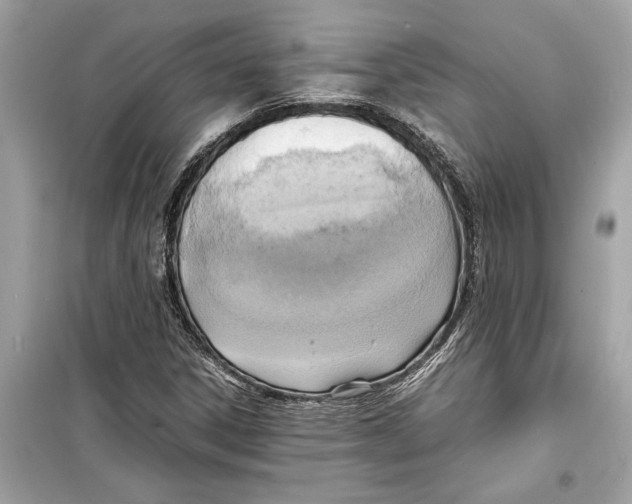 X0000098221306200805221640