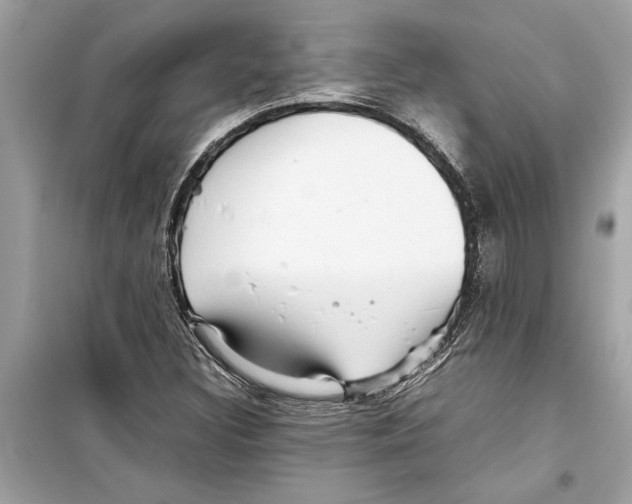 X0000098221308200805221640