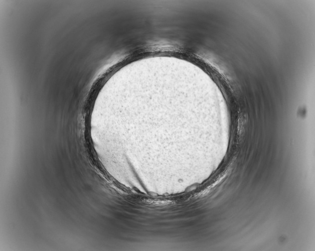 X0000098221309200805221640