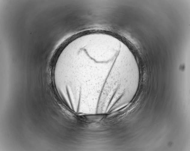 X0000098221310200805221640