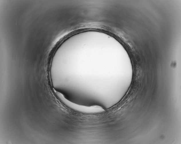 X0000098221312200805221640