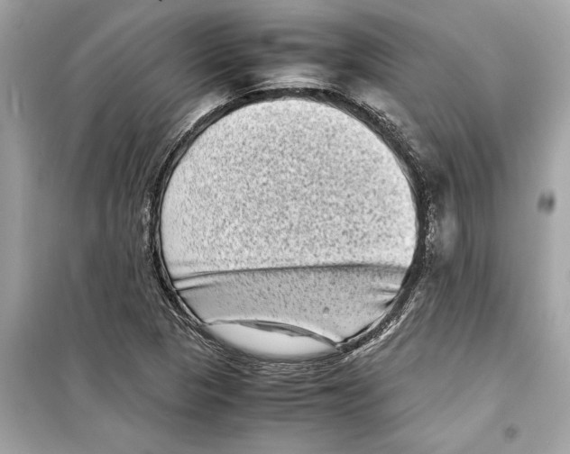 X0000098221313200805221640