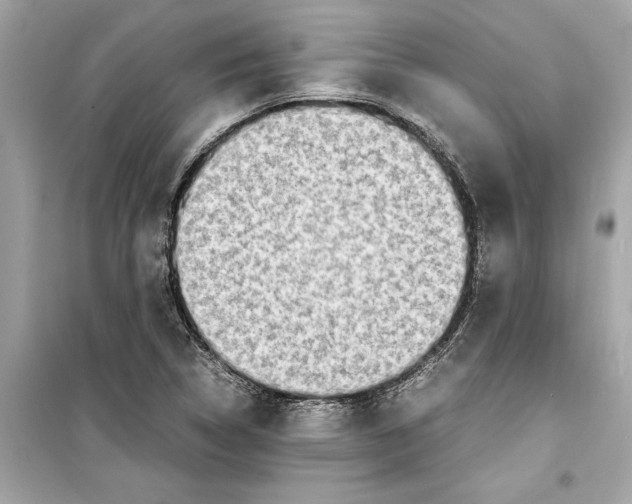 X0000098221314200805221640