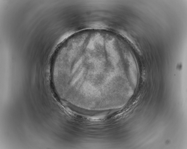 X0000098221315200805221640