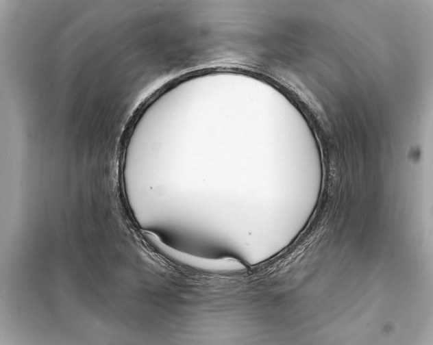 X0000098221316200805221640