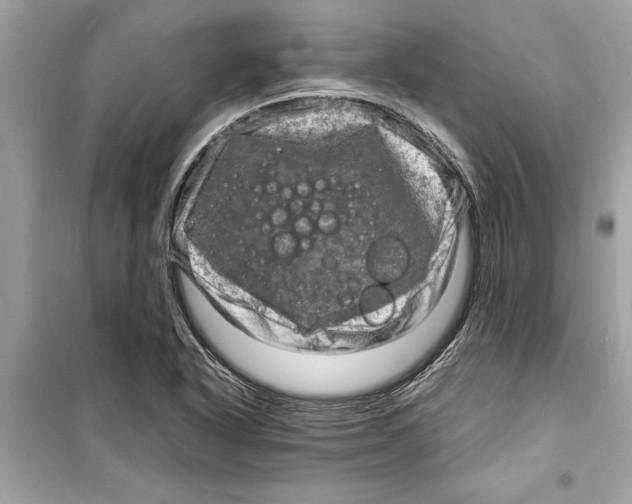 X0000098221318200805221640