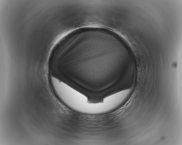 X0000098221319200805221640