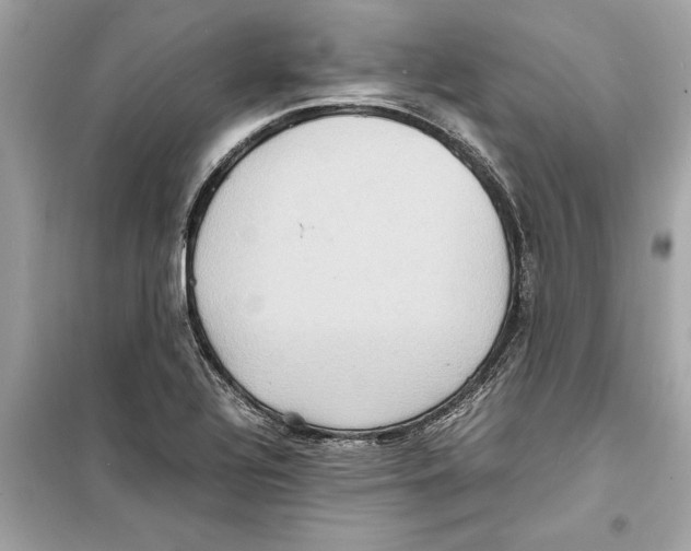 X0000098221320200805221640