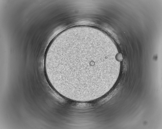 X0000098221322200805221640