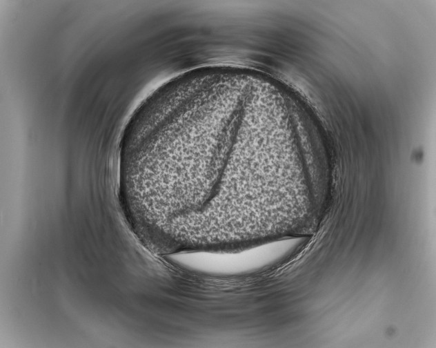 X0000098221323200805221640