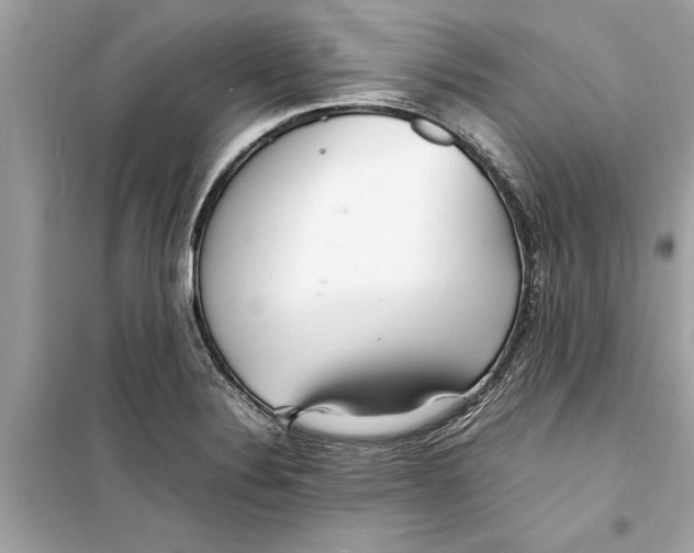 X0000098221324200805221640