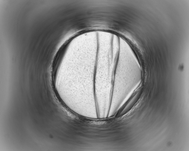 X0000098221325200805221640