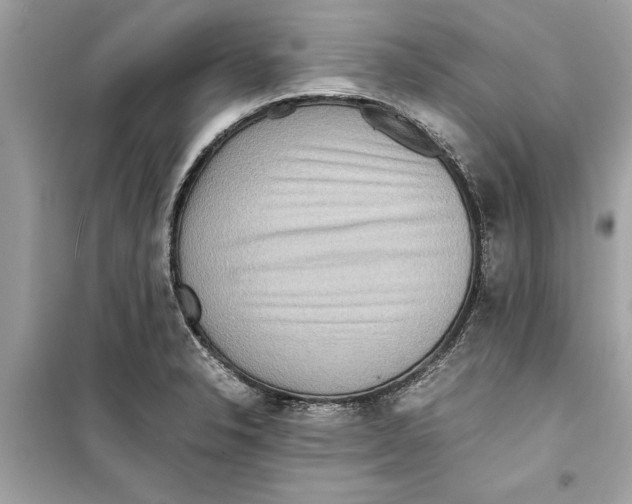 X0000098221326200805221640