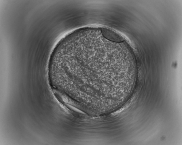 X0000098221327200805221640