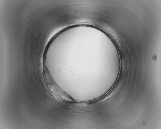 X0000098221328200805221640