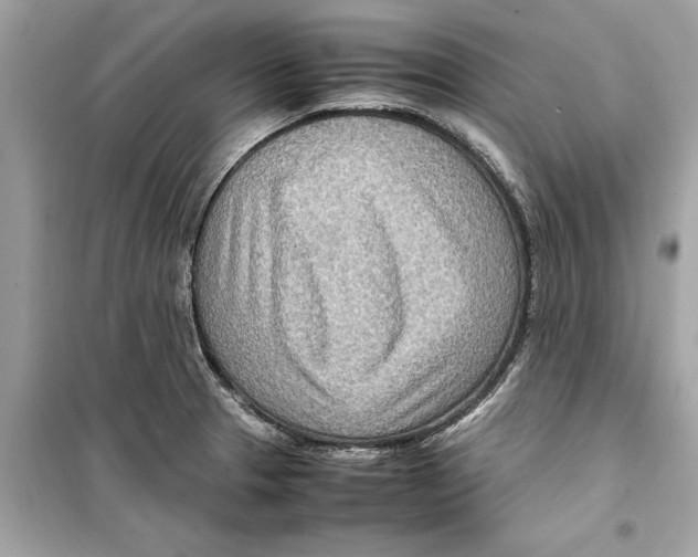 X0000098221329200805221640