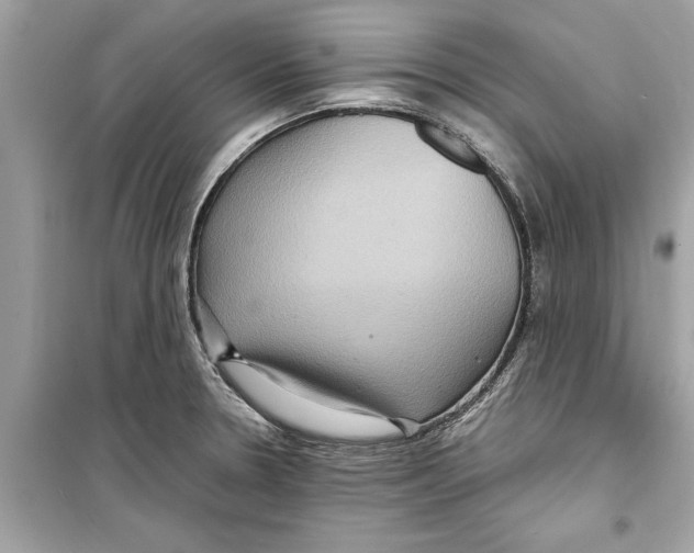 X0000098221330200805221640