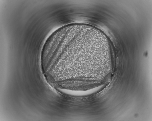 X0000098221331200805221640