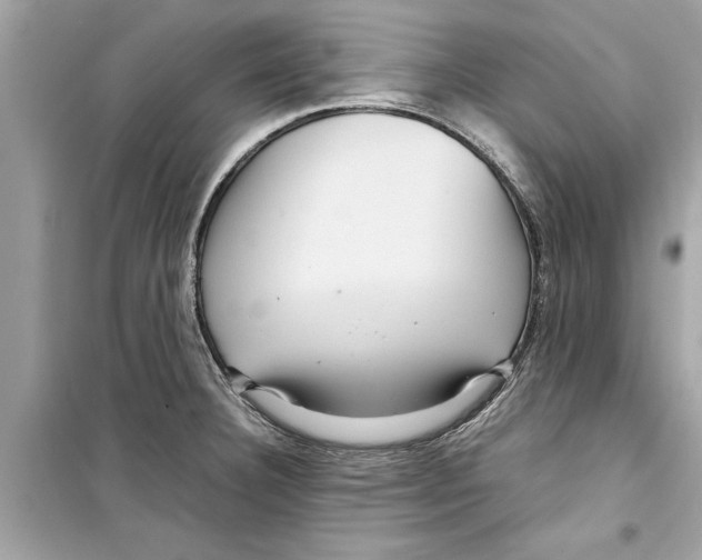 X0000098221332200805221640