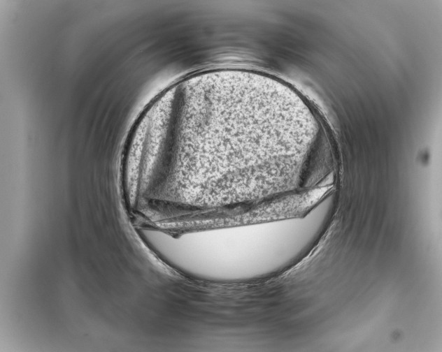 X0000098221333200805221640