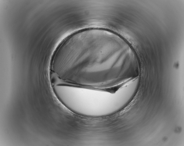 X0000098221334200805221640