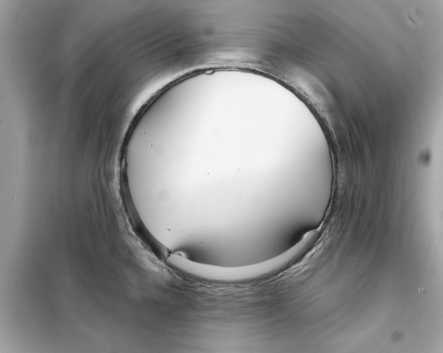 X0000098221336200805221640